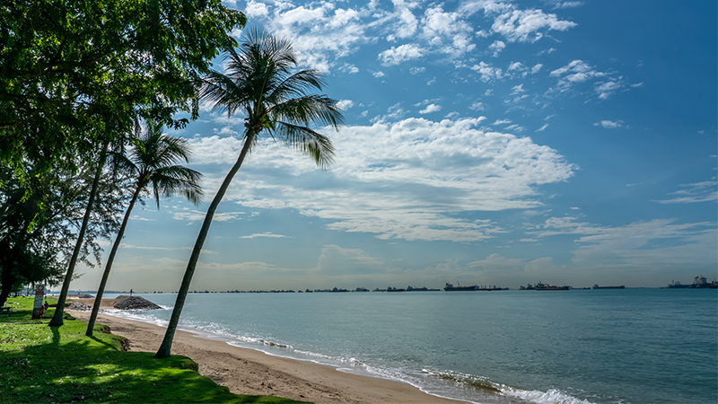 East Coast Beach